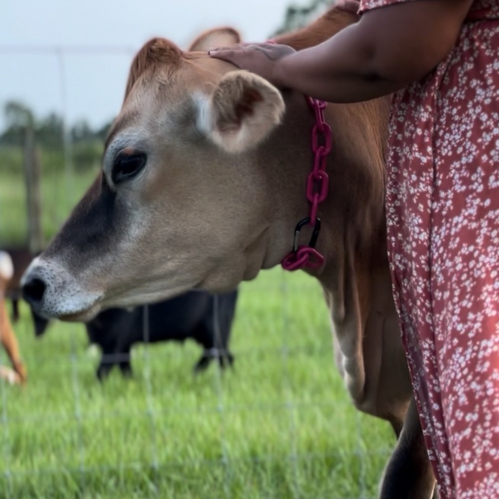 Meet your Posher, Kristina